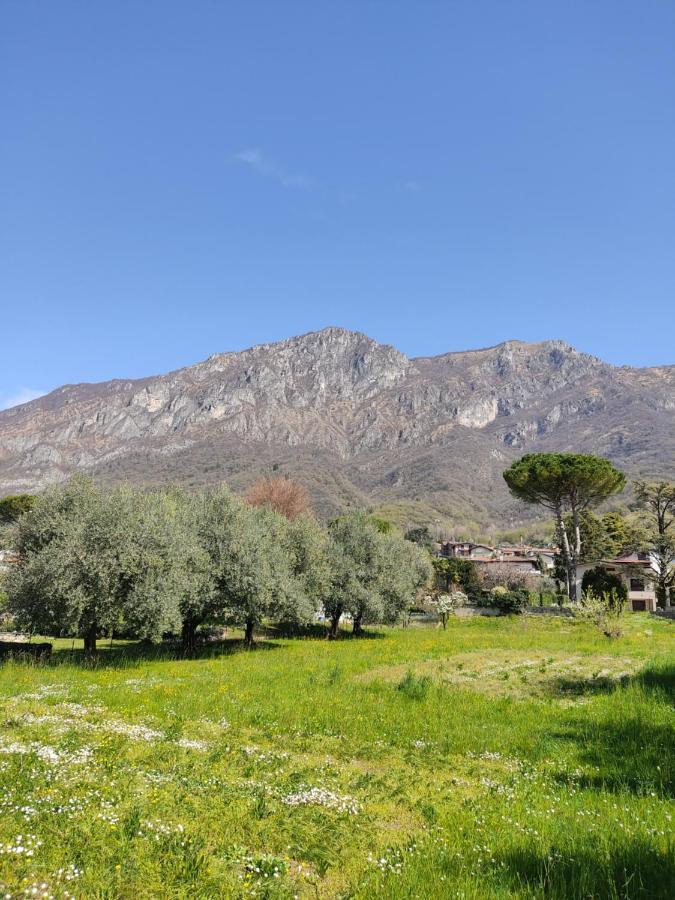 La Casa A Chiocciola Between Lake And Mountains Lierna Exterior foto